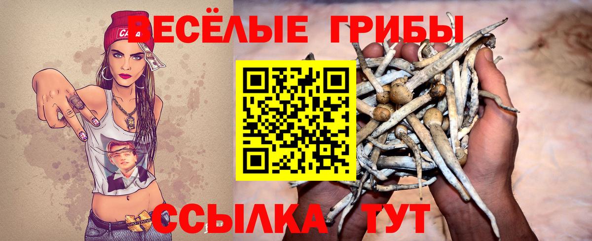 наркошоп  Псилоцибиновые грибы GOLDEN TEACHER  Вход с VPN  Ижевск  Псилоцибиновые грибы Magic Shrooms 